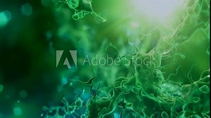 A detailed view of green microorganisms under a microscope, illuminated by bright light. The intricate structures and glowing background convey a scientific and vibrant atmosphere. The microscopic