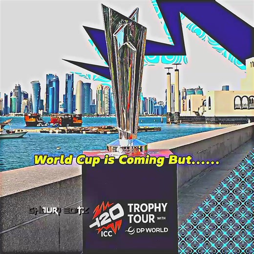 Cricket Match Excitement: Emotions of a True Fan