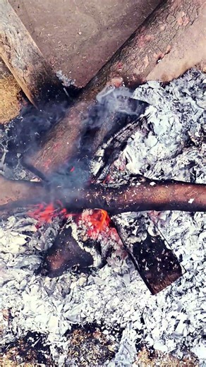 Enjoying Heavy Cold | ❄️ #cold #bonefire