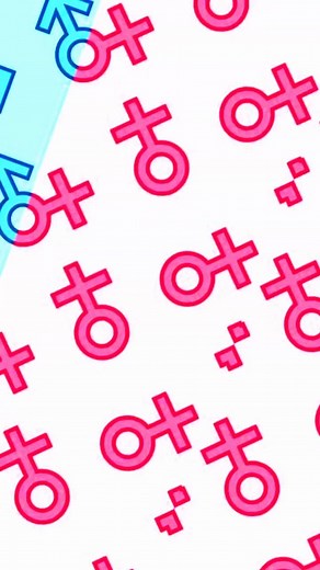 Dragon Ball Super Genderbend Characters Explained