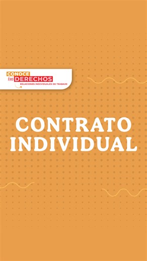 🔵Por ley, todas las personas trabajadoras tienen derecho a un contrato que formalice la relación laboral con su patrón y que especifique los aspectos más importantes de las condiciones de trabajo. Aquí te explicamos de manera sencilla lo que debe incluir. 👆 #ConoceTusDerechos | Secretaría del Trabajo y Previsión Social