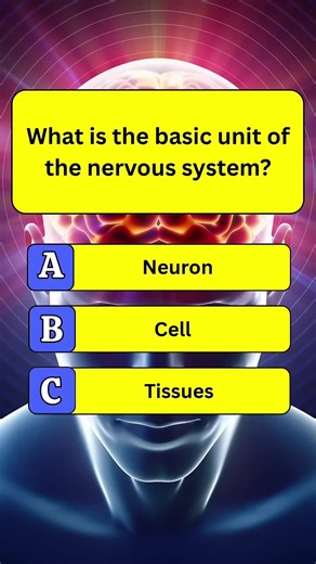 Quiz Challenge: Test Your Brain in 2025!