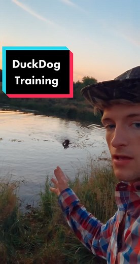 Top Duck Dog Training Tips for Release Word Max