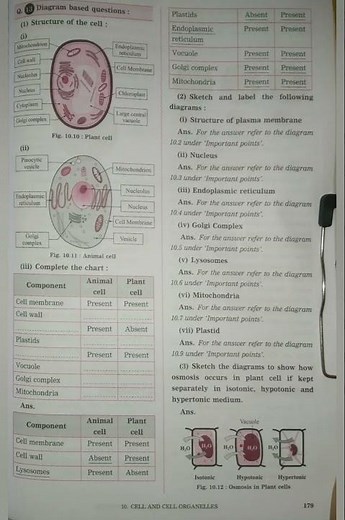 📖📚8th class SCIENCE CHAPTER 👉 10 question and answer digest #answer #8thclass #digest #shorts