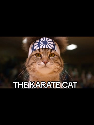 The Karate Cat: Hilarious Feline Martial Arts Display