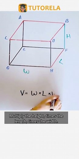 Mastering Cuboid Volume: Length x Width x Height #Math #Cuboids #PartsOfACuboid