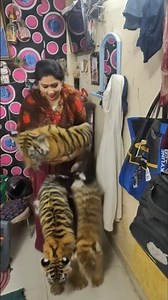 #birdtrend 8 November 2025