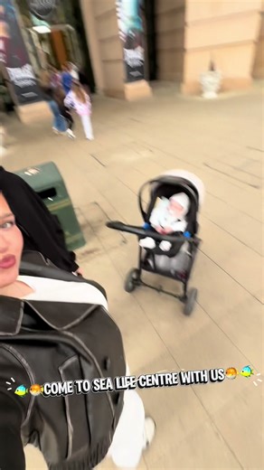 Discover the Sea Life Aquarium Experience for Kids