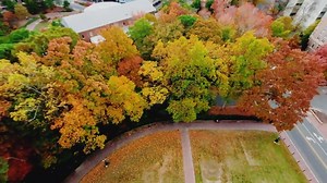 12K views · 329 reactions | Autumn has #UNC’s beautiful campus full of fall colors. Tour campus from both a pedestrian's and a bird’s-eye view, and see fall around Carolina  | The University of North Carolina at Chapel Hill | Facebook