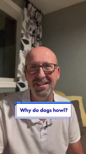 Pet Wellness Advocate on TikTok