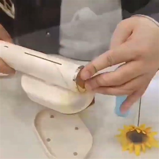 2 in 1 Dynamic Steam Flat Iron