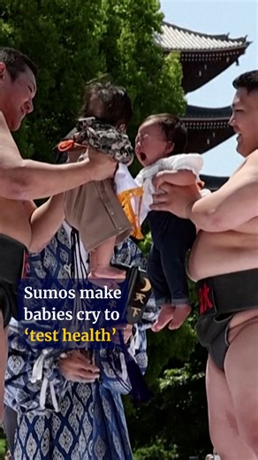 The annual “crying baby sumo” competition took place in Tokyo’s Sensoji Temple on April 28, 2024, when dozens of babies faced off to see who would be the first to bawl. #asia #japan #sumo #baby #scmpnews #scmp | South China Morning Post