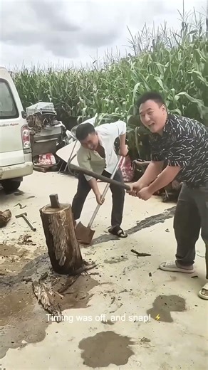 Axe Snaps While Splitting Wood Epic Fail 🪓 #shorts #woodworking #fail #skills