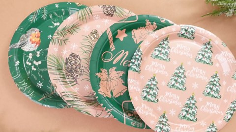 100 Pcs Christmas Paper Plates 9 Inch Christmas Party Supplies Disposable Plates Xmas Dinnerware Dinner Dessert Paper Plate for Holiday Dining Kitchen Party Tableware Supplies