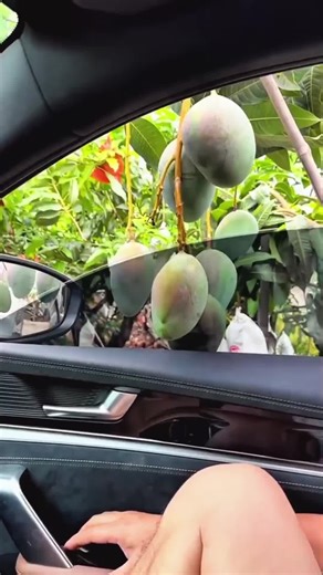 Discover Unique Organic Fruits That Grow Naturally