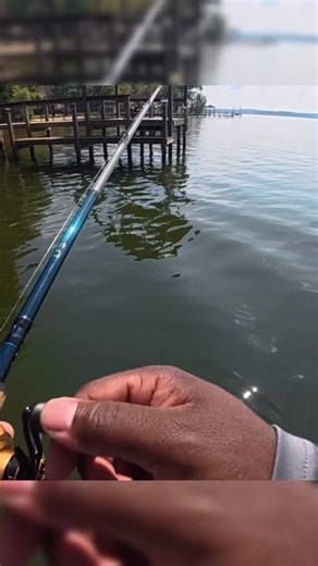 Nothing like skipping an @strikekinglurecompany @andymontgomeryfishing Skipping Jig under a dock and laying the wood to them 💪🏾💪🏾 The Setup: Rod: 7’3” Heavy Fast @lews_fishing LFS Rod Reel: Custom Pro Gen 3 Line: 20lb Contra #TeamLews #StrikeKingLureCompany #JigFishing | John Byrd III