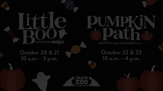 2.3K views · 68 reactions | Get those fa-BOO-lous costumes ready...