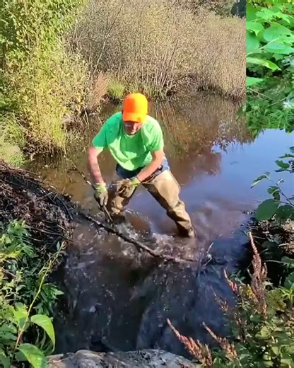 TEIL 4 Removing Large Beaver Dam To Drain Flooded Road | Post 10