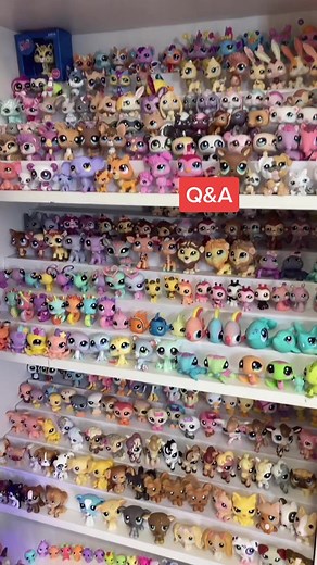 Here’s some commonly asked questions about my LPS collection! #littlestpetshop #lps #lpstiktok