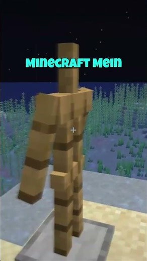 How to X-Ray in Minecraft Without Mods 😱