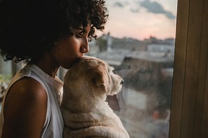 How to take care of a dog in heat: A handy guide for all pet parents