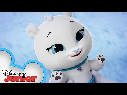 Paul the Polar Bear Profile | T.O.T.S. | Disney Junior
