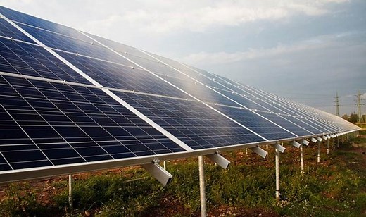 Rewa Solar Park: Asia's Largest Green Energy Plant in Madhya Pradesh | All You Need to Know