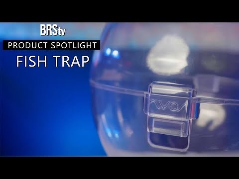 Catching Saltwater Aquarium Fish Couldn’t Be EASIER! Nyos Floating Fish Trap