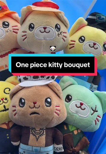 Kitty one piece bouquet! Super cute Mother’s Day gift #onepiece #monkeydluffy #luffy #sanji #zoro