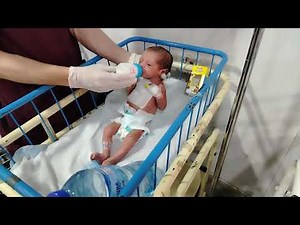 🍼 A Newborn Baby – How to Start Formula Feeding Safely and Correctly | Complete Step-by-Step Guide🏡