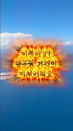 📌 댓글에 ”항공권“ 남겨주시면 날짜별 최저가 항공권 비교할 수 있는 사이트 보내드릴게요‼️ #땡처리항공권 #항공권예약 #특가항공권 #항공권특가 #유류할증료 #유류할증료인상