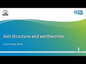 Soil structure and earthworms masterclass
