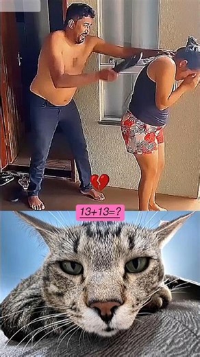 Backside Hit Game 🎯 #funny #cat #dance #shorts