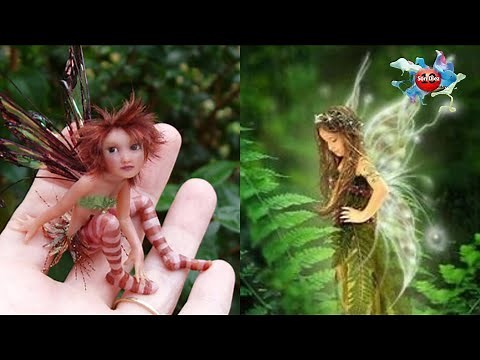 10 Hadas Captadas y Vistas en la Vida Real #4