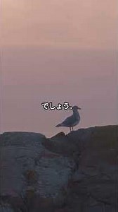 詩篇 73篇 天では、あなたにまさる方が、いましょうか #詩篇73篇 #信仰 #礼拝 #聖書の知恵 #インスピレーション #キリスト教ショート #神の善さ