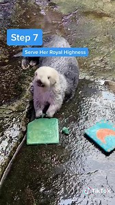 4.2K views · 241 reactions | How to make an otter's birthday cake 簾 #LearnOnTikTok #TikTokPartner https://vm.tiktok.com/ZMJSurJQD/ | Aquarium of the Pacific | Facebook
