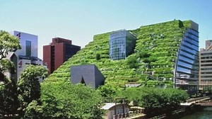 Techos Verdes ¿Cuáles son sus Beneficios? | N