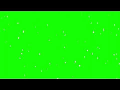 Slow Falling Cherry Blossom Petals Foreground Green Screen Loop (Copyright Free)