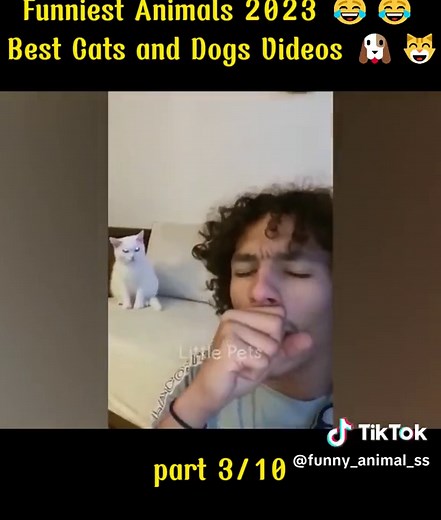 Funniest Animals 2023 😂😂 Best Cats and Dogs Videos 🐶😸 Part 11 #funny_animal_ss #animals #animalsoftiktok #animales #animallover #animalrescue #foryou #foryoupage #foryourpage #foryoupageofficiall #foryoupage❤️❤ #funny #funnyvideos #foryour #edit #edits