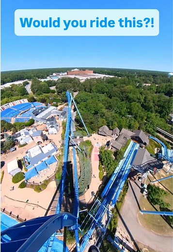 Griffon: The Ultimate Dive Coaster at Busch Gardens