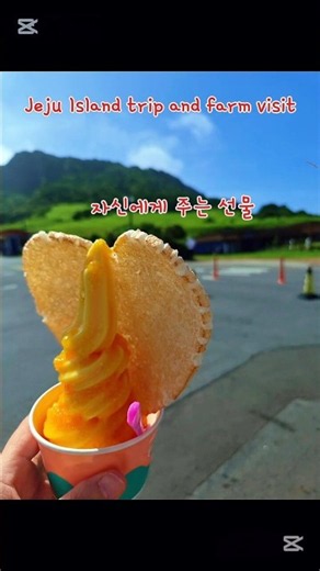 50초 제주 여행으로 초대합니다. 성산일출봉 아이스크림 Jeju Island trip and farm visit