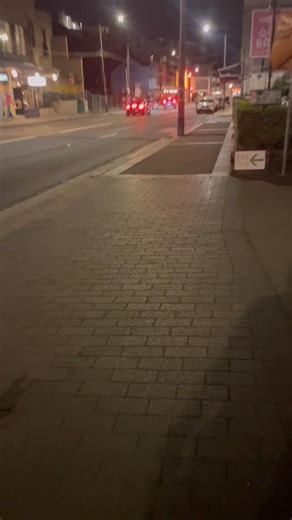 Dog being triggered by the rats around the OPorto on Enmore Road. Happens every time, I don’t eat there. | Martin Quinn