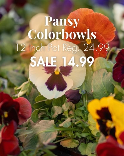 Pike Nurseries on Reels