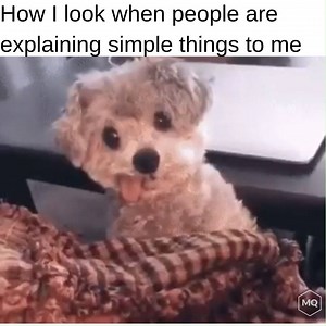 Accurate | Motivational Quotes