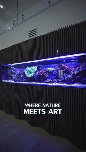 Three custom aquariums, endless possibilities | Miami Design