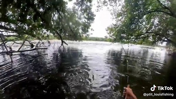 Vidéos de ptit louis (@ptit_louisfishing) avec ALIEN FLAME (Extended Version) - shometyle