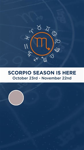 Scorpio season is here and with it comes bold energy, rich color, and the perfect time for a transformation. ♏✨ Deeply passionate and quietly intuitive, Scorpios love a transformation that feels intentional and a little mysterious. This season, bring that same energy indoors with rich, moody hues like Intuitive, Black of Night, Expressive Plum, or Mysterious Mauve. Perfect for a cozy reading nook, moody dining room, or bold accent wall. Ready to transform your space with a little Scorpio flair? 