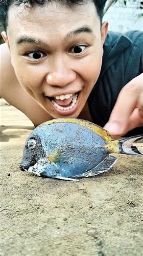 Conteúdo imperdível! A beleza dos milípedes se alimentando de peixe fresco.