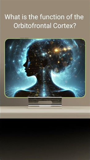 Orbitofrontal Cortex ~ #BrainBit ~ Dr. Donna Thomas-Rodgers