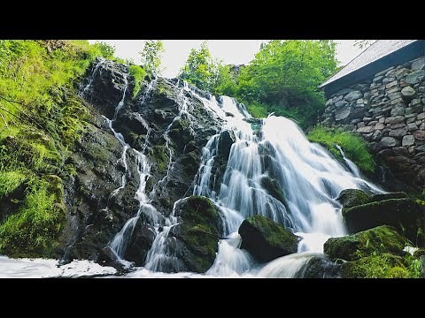 Waterfall HD Stock Video | Free stock footage - No Copyright | All Video Free